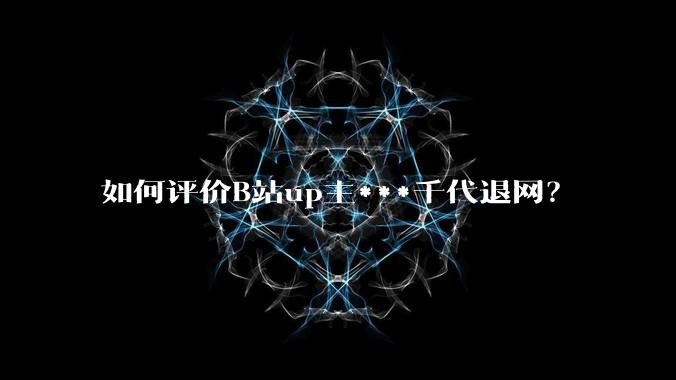 如何评价B站up主***千代退网？